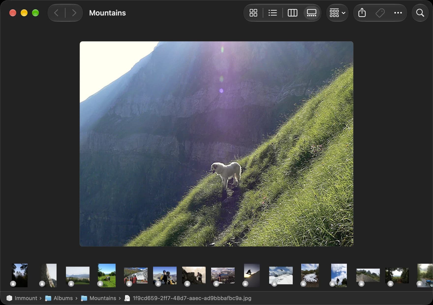 A Finder window in gallery view showing the Mountains album from an Immich server, with a large photo and a strip of thumbnails.